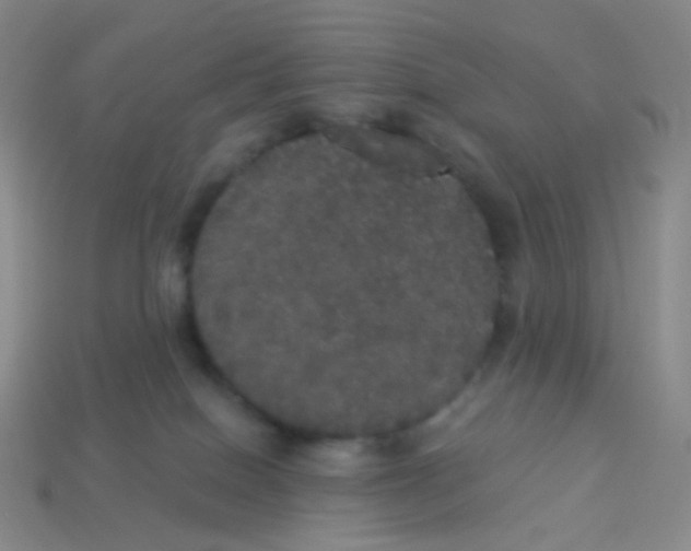 X0000113550086200910161443