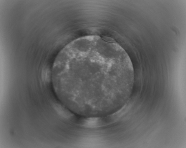 X0000113550090200910161443