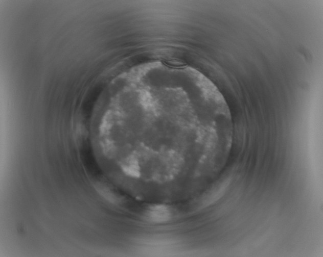 X0000113550091200910161444