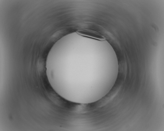 X0000113550092200910161444