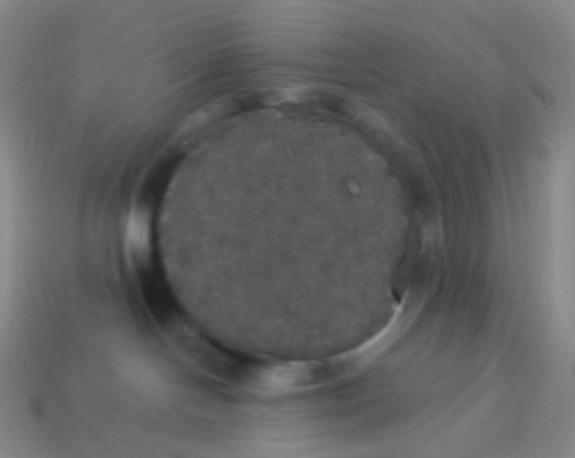 X0000113550094200910161444