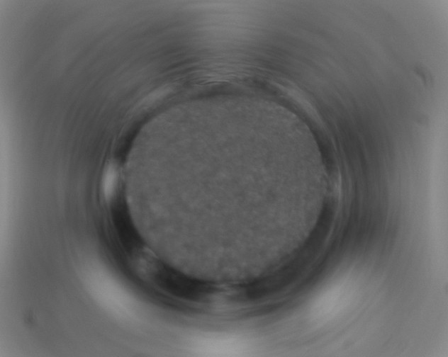 X0000113550095200910161444