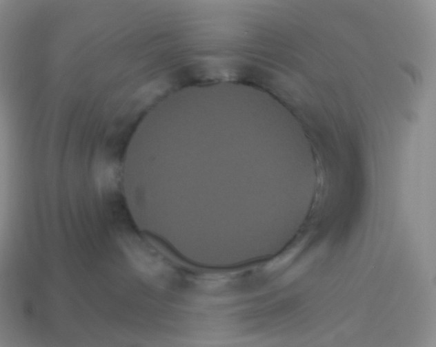 X0000113550096200910161444