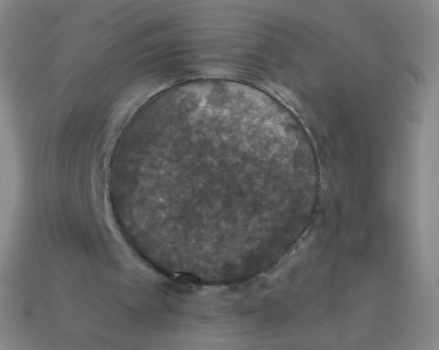 X0000113550097200910161443
