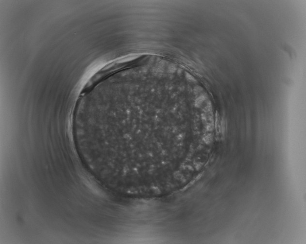 X0000113550099200910161443