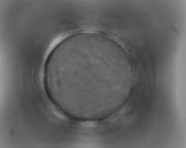 X0000113550102200910161443