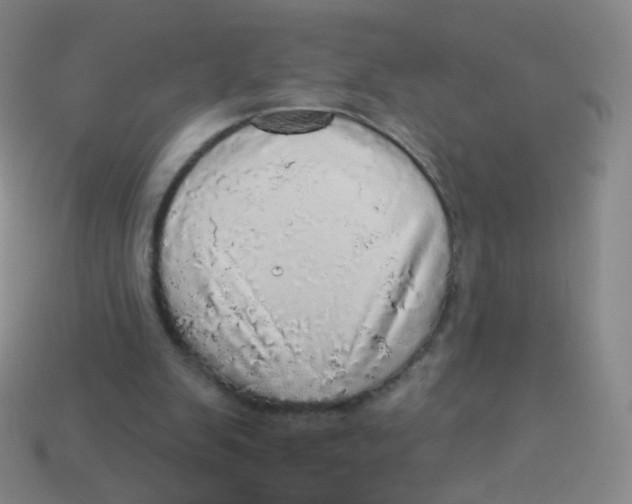 X0000113550103200910161443