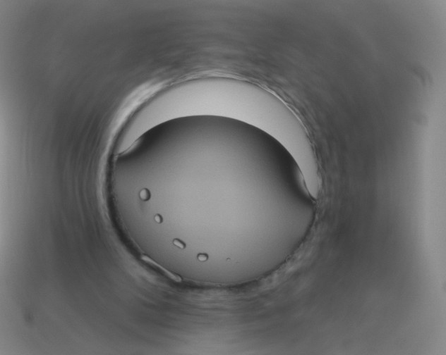 X0000113550104200910161443