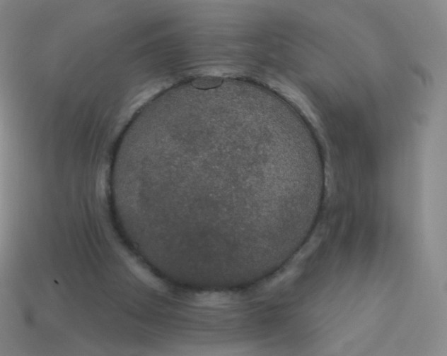 X0000113550105200910161443