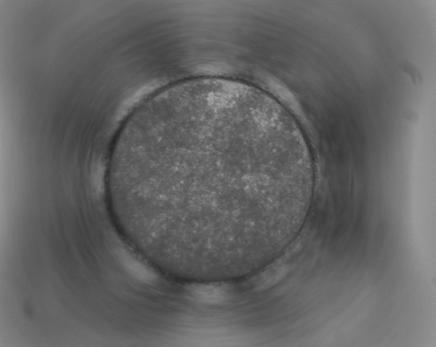 X0000113550106200910161443