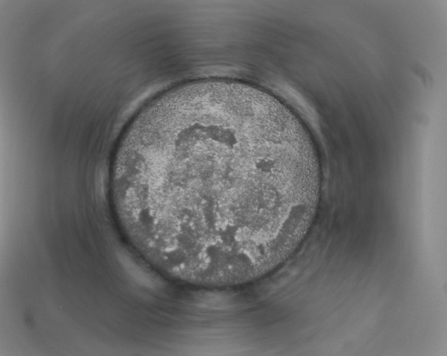 X0000113550107200910161443