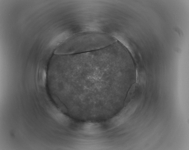 X0000113550109200910161443