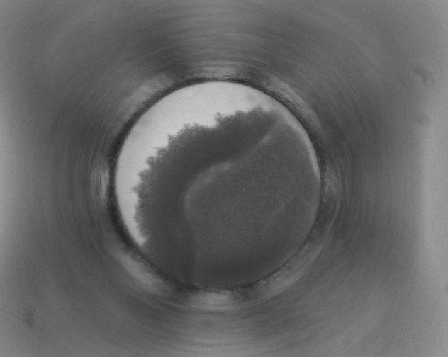 X0000113550110200910161443