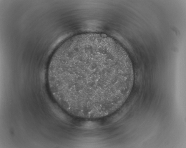 X0000113550111200910161443