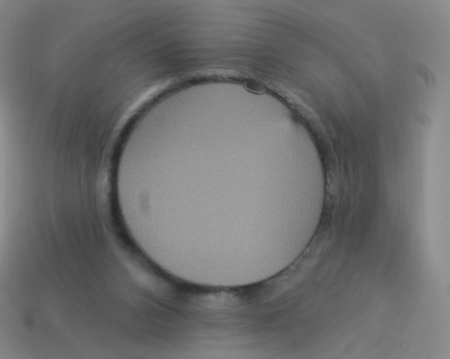 X0000113550112200910161443