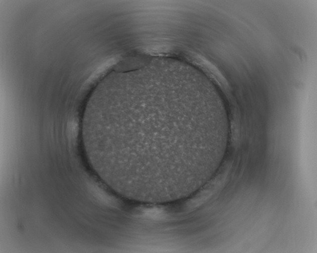 X0000113550113200910161443