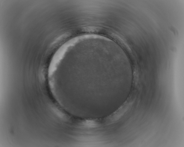 X0000113550114200910161443