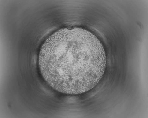 X0000113550115200910161443