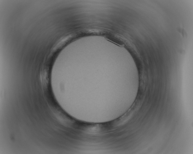 X0000113550116200910161443