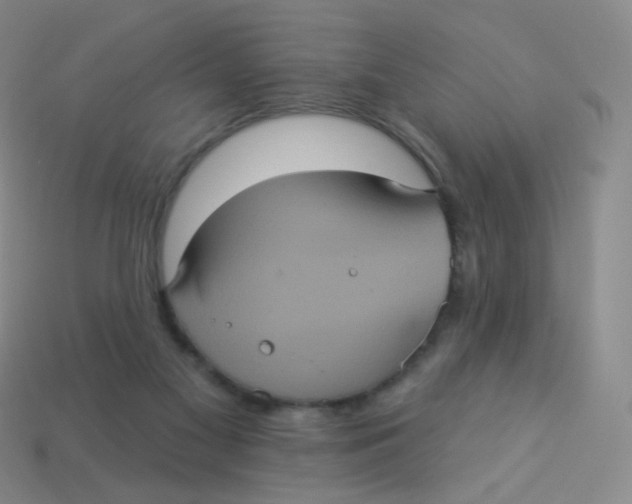 X0000113550117200910161443