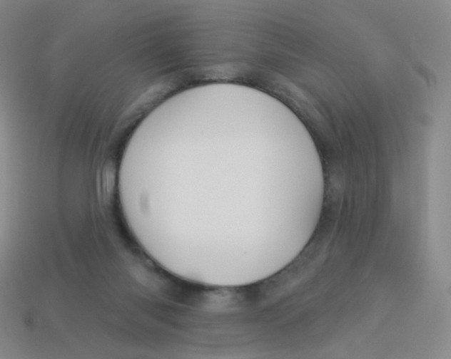 X0000113550118200910161443