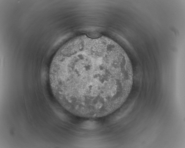 X0000113550119200910161443