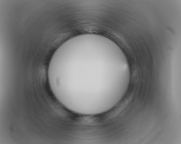 X0000113550121200910161443