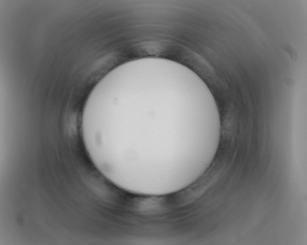 X0000113550122200910161443