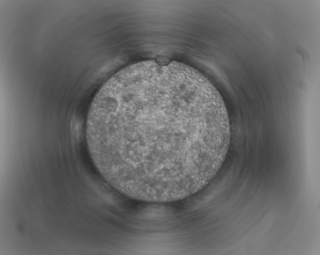X0000113550123200910161443