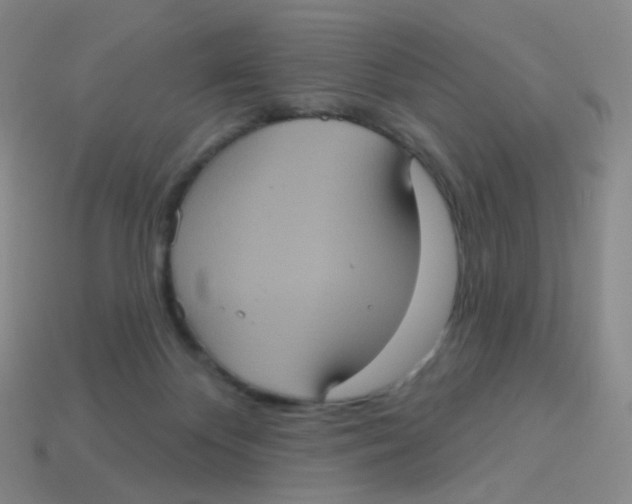 X0000113550124200910161443
