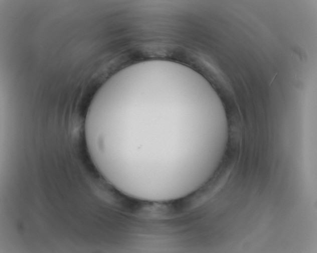 X0000113550125200910161443