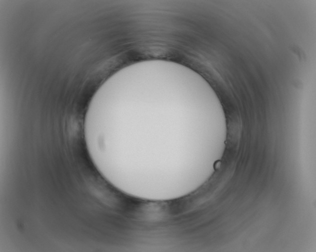 X0000113550126200910161443