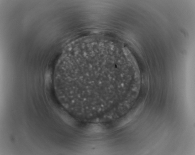 X0000113550127200910161443
