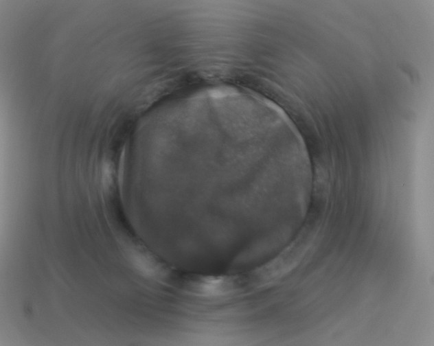 X0000113550130200910161443