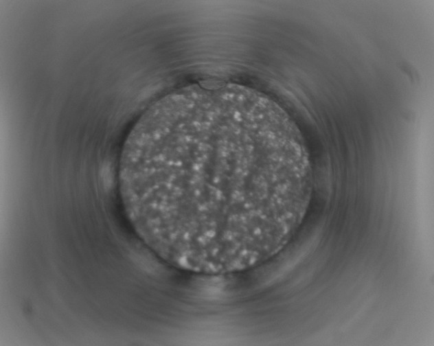 X0000113550131200910161443