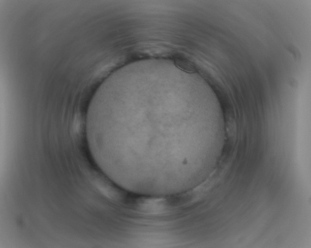 X0000113550132200910161442