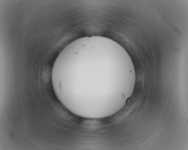 X0000113550133200910161442