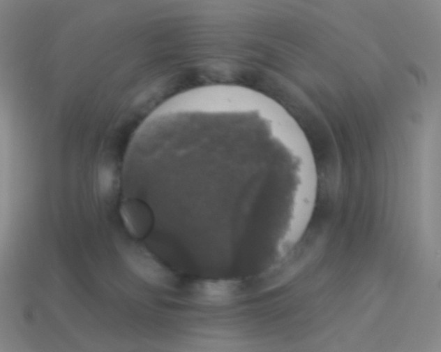 X0000113550134200910161442