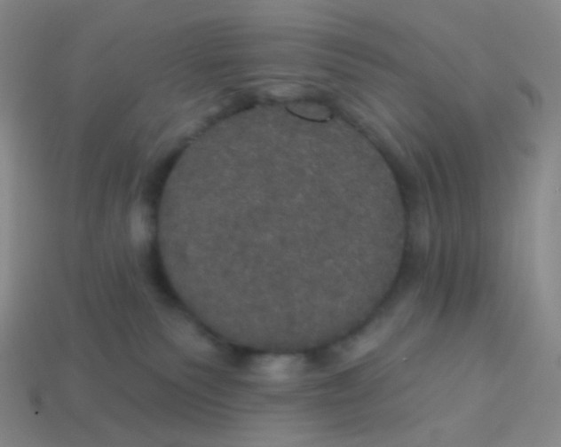 X0000113550135200910161442
