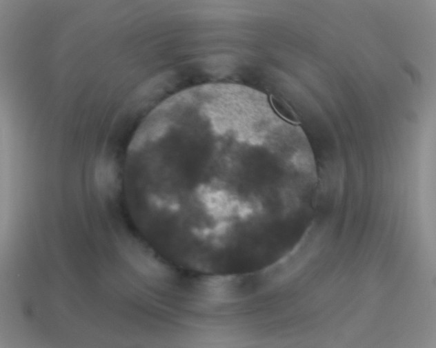 X0000113550136200910161442