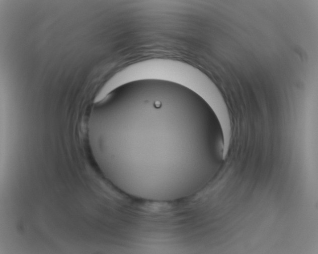 X0000113550137200910161442