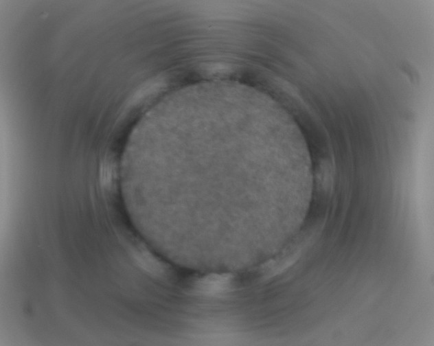 X0000113550138200910161442