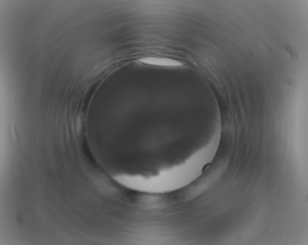 X0000113550139200910161442