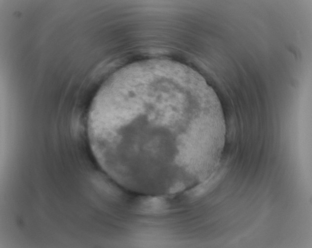 X0000113550140200910161442