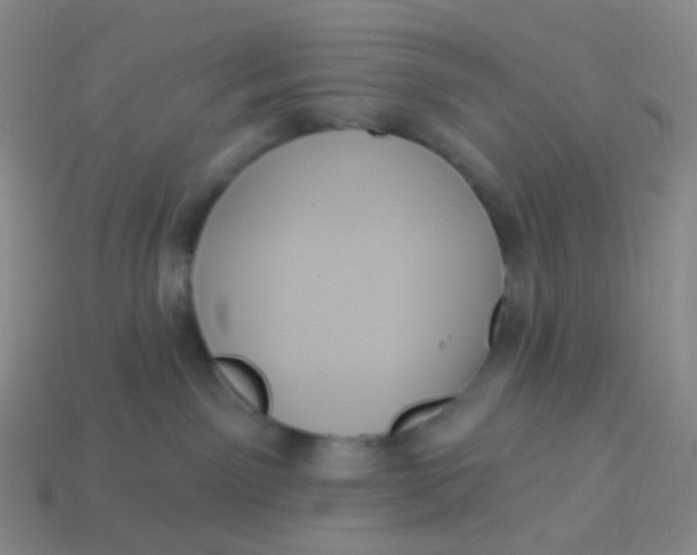 X0000113550141200910161442