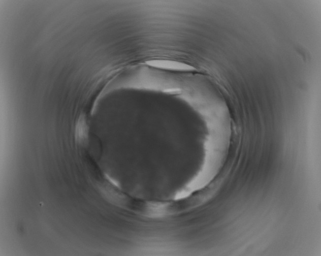 X0000113550143200910161442