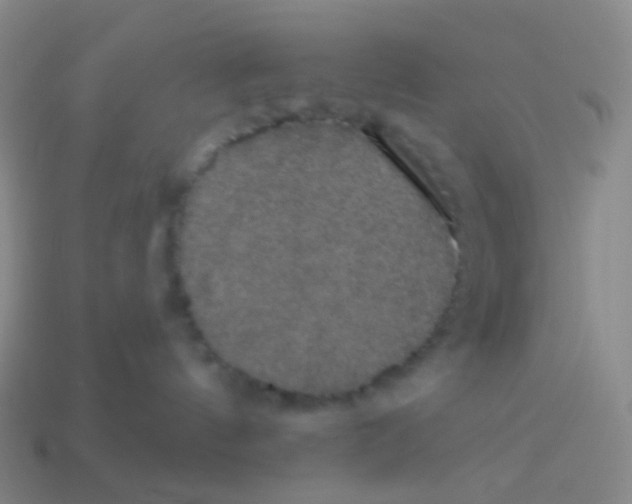 X0000113550144200910161442