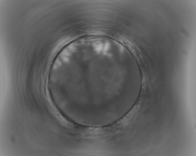 X0000113550145200910161442