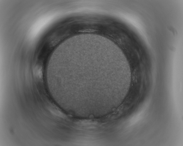 X0000113550146200910161442