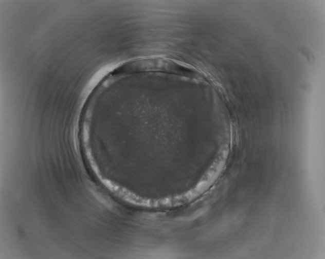 X0000113550147200910161442